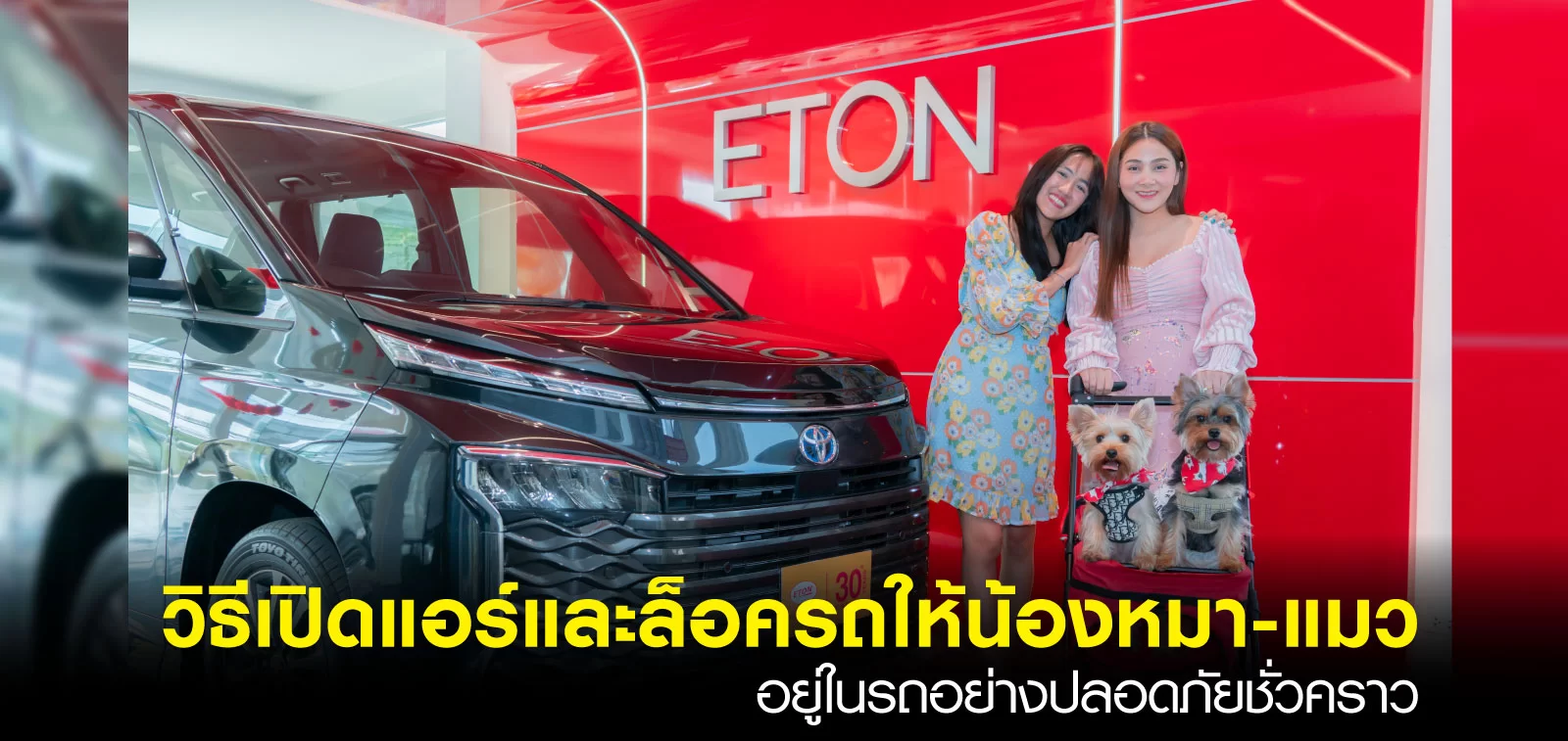 วิธีล็อครถให้น้องหมาอยู่ในรถอย่างปลอดภัยชั่วคราว สำหรับการเดินทางช่วงปีใหม่